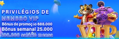 Starlight Princess - Slot game com multiplicadores na Okokmgm